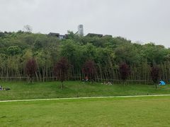 -羊山湖公园