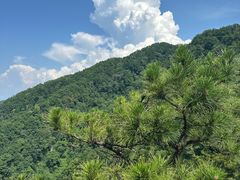 -西安祥峪森林公园