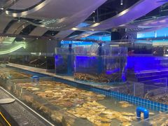 -一方渔歌蒸汽海鲜自助(文化路万达广场店)