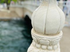 -北京动物园