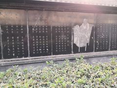 -东方巨龟苑景区