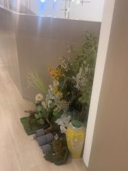 -北京漾格医疗美容医院
