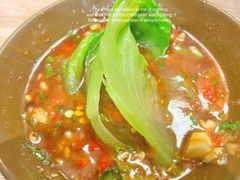 生菜-野妹火锅(南园店)