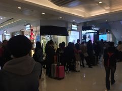 -SAINT LAURENT(海港城店)