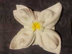 -鸿韵养生(白玉兰店)