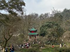 -岳麓山风景名胜区