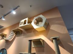 -BABIT巴比特宠物(MOMOPARK店)