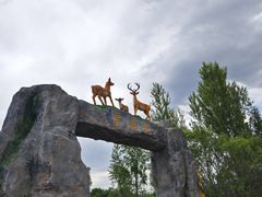 -野鸭湖国家湿地公园