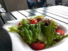 田园时蔬沙拉-布拉格餐厅· 中欧捷克菜(全国首店)