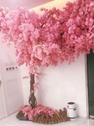 -Sunny喜铺婚礼策划(东部店)