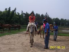 -太阳岛度假酒店