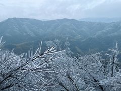 -金子山原生态旅游风景区