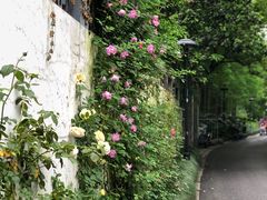 -杭州西湖柳莺里酒店