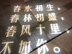 -映月湖中央公园