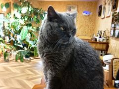 -Rabbit Cafe私房西餐甜点咖啡(栖霞路店)