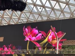 -视博茶点(美狮美高梅店)