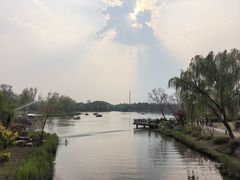 -九科绿洲