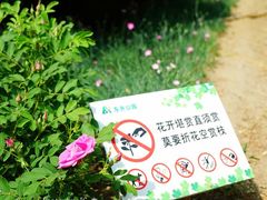-东升八家郊野公园