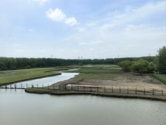 -溱湖国家湿地公园