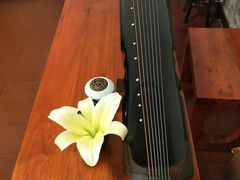 -养心斋涵信茶艺茶道培训