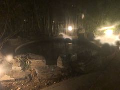 -中家鑫园温泉酒店鑫悦汤泉