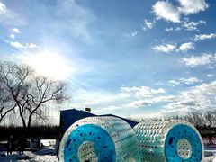 -大兴滨河森林公园