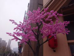 -蓝鲸湾汤泉(包河店)