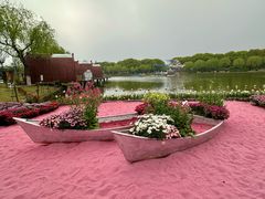 -上海鲜花港