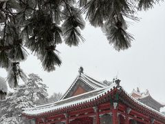 -沈阳市东陵公园