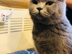 -平行世界·猫咖(首经贸店)