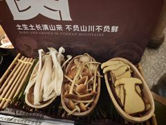 -季季山·云南野生菌火锅(上海首店)
