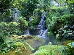 -Chom Cafe and Restaurant