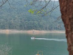 -广州市流溪河国家森林公园