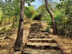 -风云岭森林公园