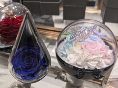 -ROSEONLY诺誓(磐基中心店)