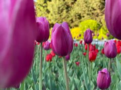 -长春公园(普阳街道)