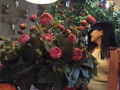 -范设计花园餐酒咖·中西餐·咖啡厅·酒馆