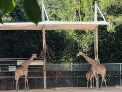 -泉州海丝野生动物世界