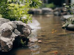 -绣园·茶食宴(湘绣博物馆店)