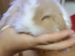 -龍歌自助小火锅(市北和达中心城店)