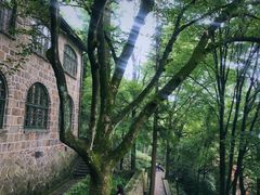 -莫干山风景区