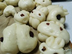 -北戴河集发农业梦想王国