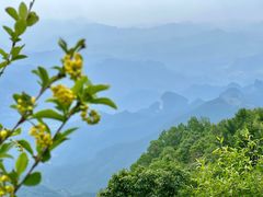 -白草畔自然风景区