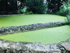-成都市活水公园