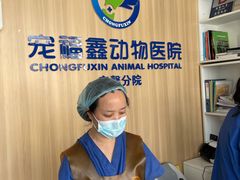 -宠福鑫康馨动物医院·骨科·眼科