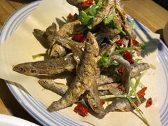 -丰乐餐厅·始于1999·本地老字号