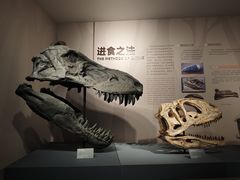 -自贡恐龙博物馆