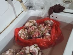 -杨阿六蒸缸羊肉面