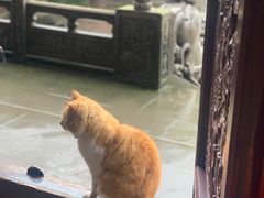 -磁器口古镇