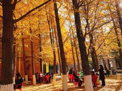 -辽宁大学(崇山校区)